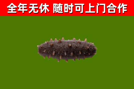 炎陵县烟酒回收干海参.jpg